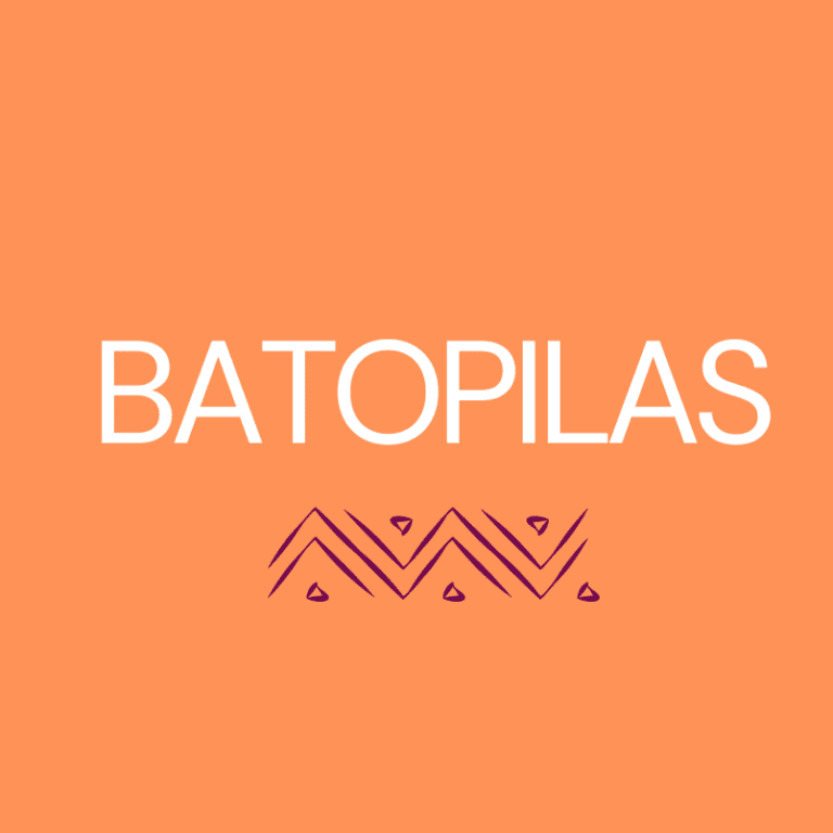 BATOPILAS