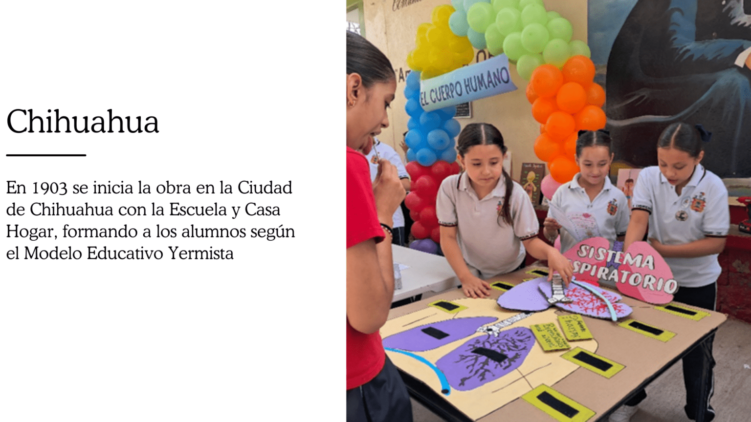 CDE32B29-EAF2-4118-891F-E768F1E7315F