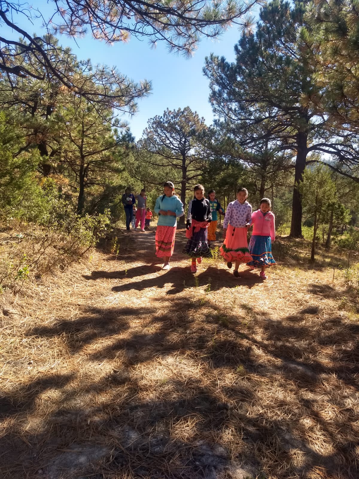 EA5C10E7-03C3-4EBF-B7A9-0370AEE94B5D